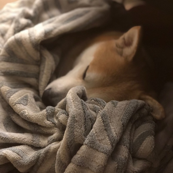 Meet your Posher, Fiona - Picture 1 of 1